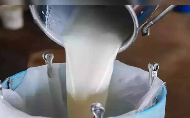 17 से शुरू होगा दुग्ध स्वर्ण महोत्सव-2026, 10 हजार पशुपालक और दुग्ध उत्पादक होंगे एकत्र