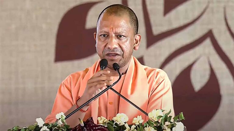 yogi1-4.jpg