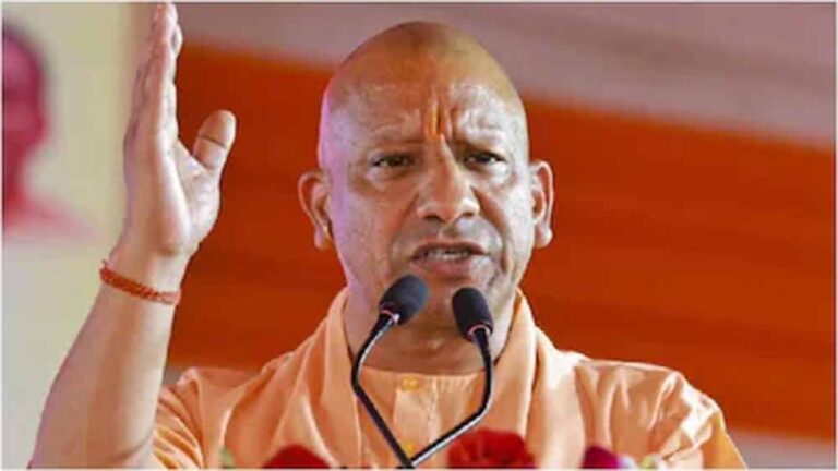 yogi2-4.jpg