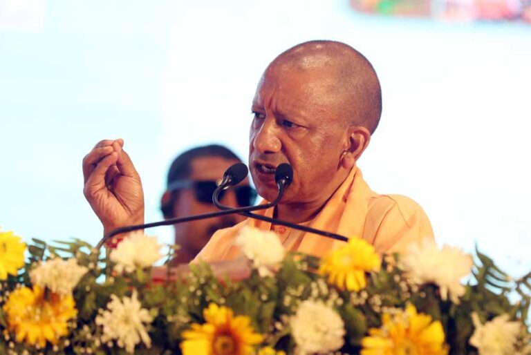 yogi_5765797.jpg