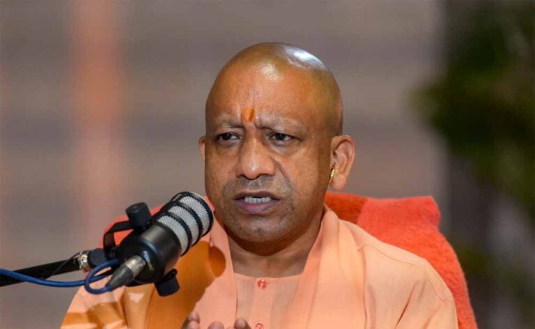 yogi_news1-4.jpg