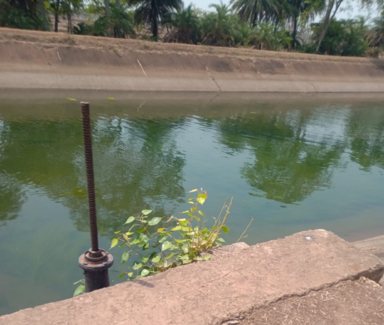 CG : सुशासन तिहार में ग्रामीणों की मांग पर तांदुला जलाशय से नदी और नहरों में छोड़ा गया पानी
