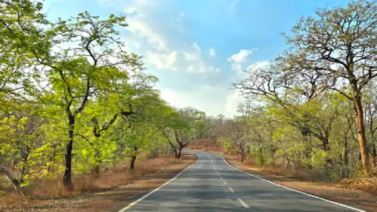 राजनांदगांव : अगले 48 घंटे ग्रीष्म लहर का ऑरेंज अलर्ट, तापमान 3 डिग्री बढ़ेगा…