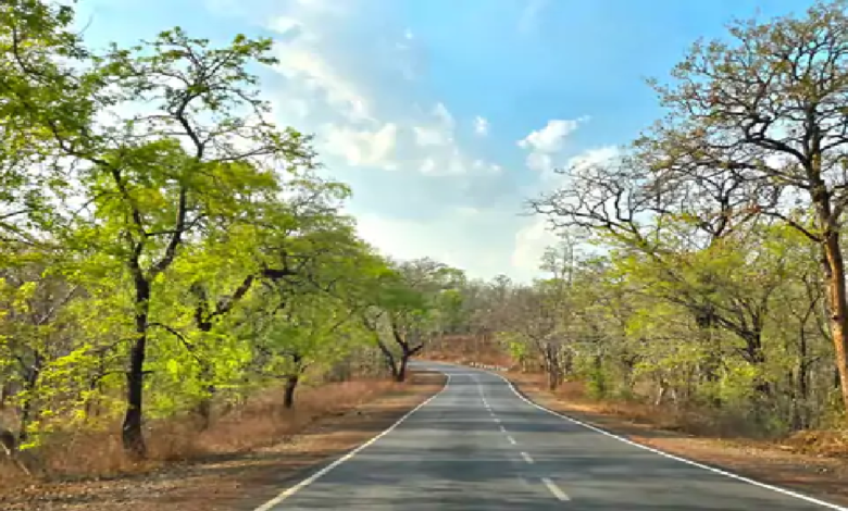 राजनांदगांव : अगले 48 घंटे ग्रीष्म लहर का ऑरेंज अलर्ट, तापमान 3 डिग्री बढ़ेगा…