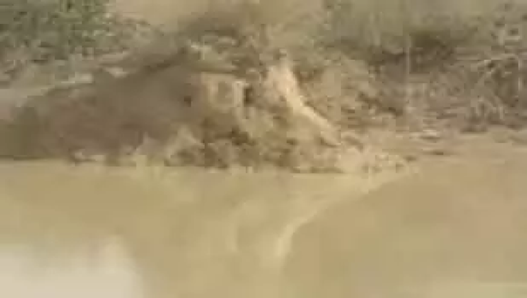 CG : तालाब में हाथी शावक की मौत