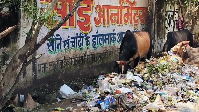 राजनांदगांव : वीआईपी रोड में सड़क किनारे में ही दुकानदार फेंक रहे कचरा, सफाई हो…