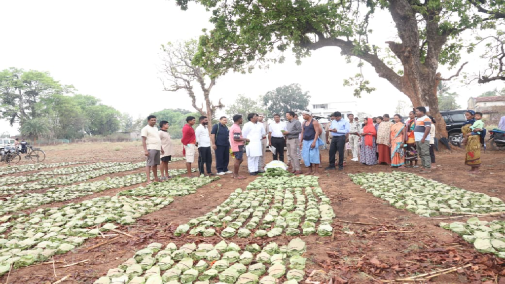 CG : ’तेन्दूपत्ता संग्रहण में छत्तीसगढ़ ने बनाया नया रिकॉर्ड, अब तक 13.52 लाख मानक बोरा संग्रहित’