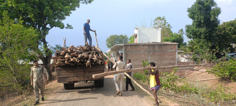 CG : गौरेला क्षेत्र में सागौन की अवैध कटाई पर वन विभाग की बड़ी कार्रवाई