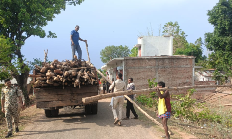 CG : गौरेला क्षेत्र में सागौन की अवैध कटाई पर वन विभाग की बड़ी कार्रवाई
