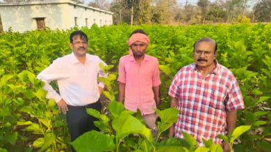 CG : सिल्क समग्र-2 योजना से धमतरी के ग्रामीणों को मिल रहा आत्मनिर्भरता का नया आधार