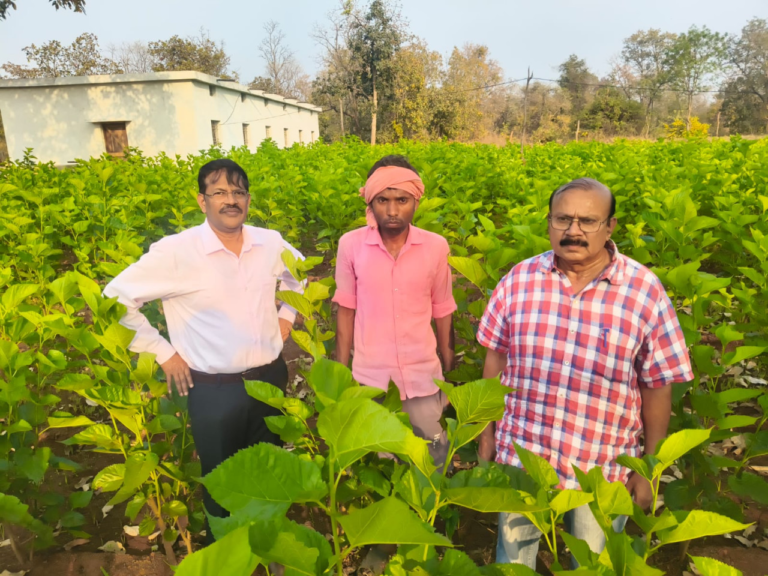 CG : सिल्क समग्र-2 योजना से धमतरी के ग्रामीणों को मिल रहा आत्मनिर्भरता का नया आधार