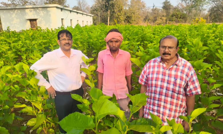 CG : सिल्क समग्र-2 योजना से धमतरी के ग्रामीणों को मिल रहा आत्मनिर्भरता का नया आधार