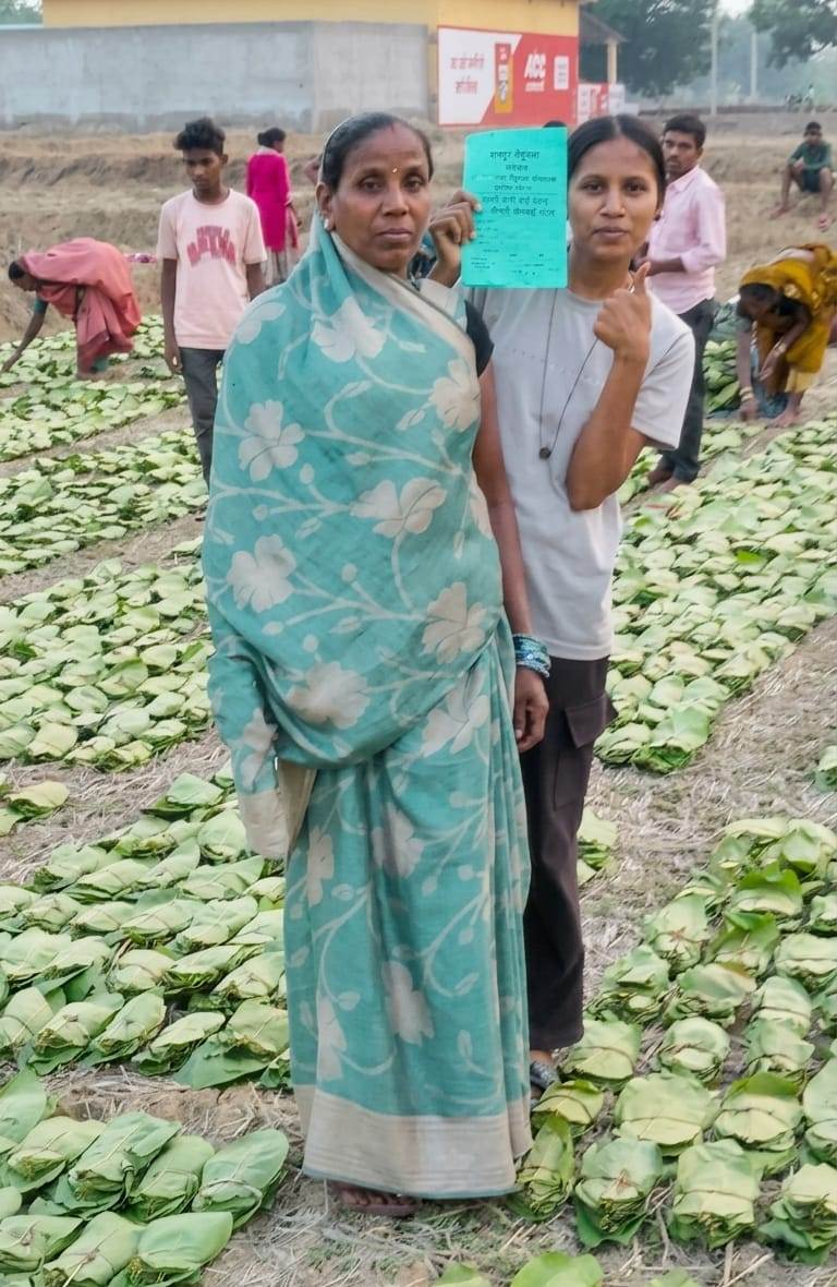 CG : ’हरा सोना’ बना समृद्धि का आधार : तेंदूपत्ता खरीदी की बढ़ी दर ने संग्राहकों का बढ़ाया उत्साह व भरोसा, हर फड़ पर रौनक