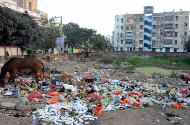 95-6.jpg