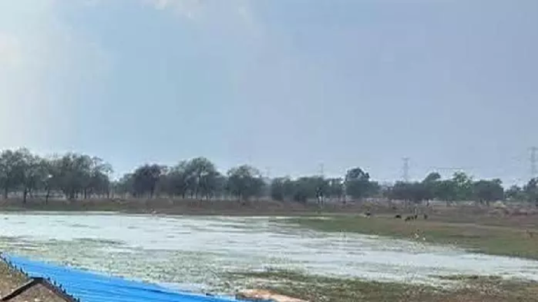 राजनांदगांव : तालाब किनारे चला बुलडोजर, अतिक्रमण मुफ्त …