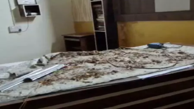 CG : SDM नहीं थे तो बच गए बाल-बाल, ऑफिस का फॉल सीलिंग गिरा …