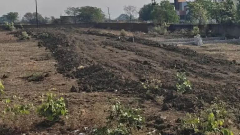 CG : जेल में होंगे अवैध प्लॉटिंग करने वाले, SDM की सख्ती …