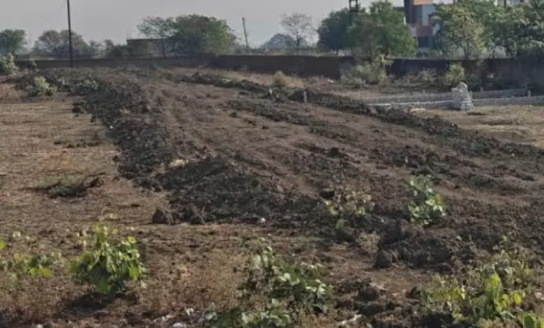 CG : जेल में होंगे अवैध प्लॉटिंग करने वाले, SDM की सख्ती …