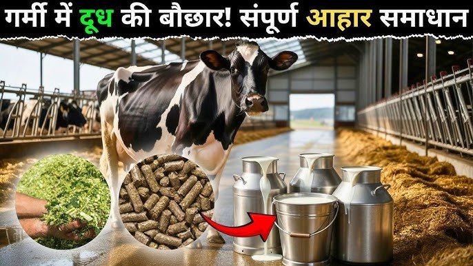 Animal Husbandry