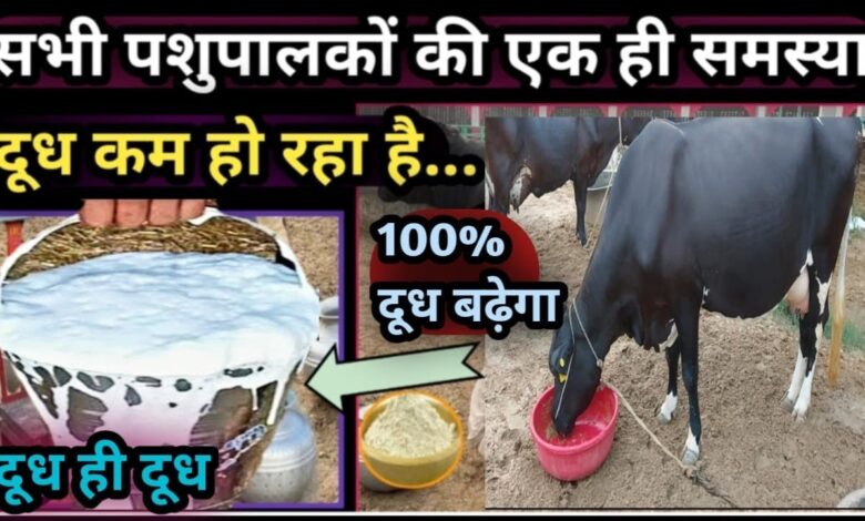 Animal Husbandry
