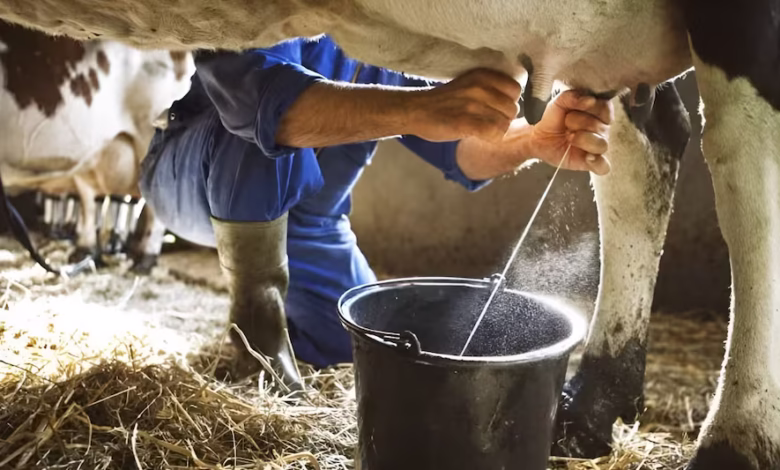 Animal Husbandry