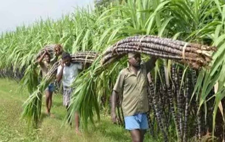 Bihar_News_01-3-7.jpg