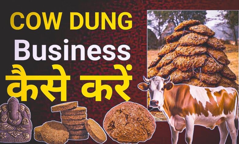 Business Idea 2026