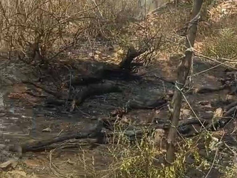 Chhattisgarh_03-2-6.jpg