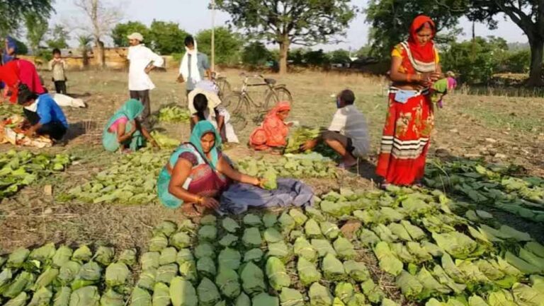 Chhattisgarh_News_03-3-1.jpg