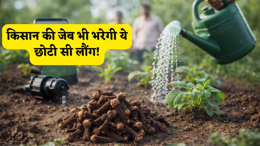 Cloves Farming
