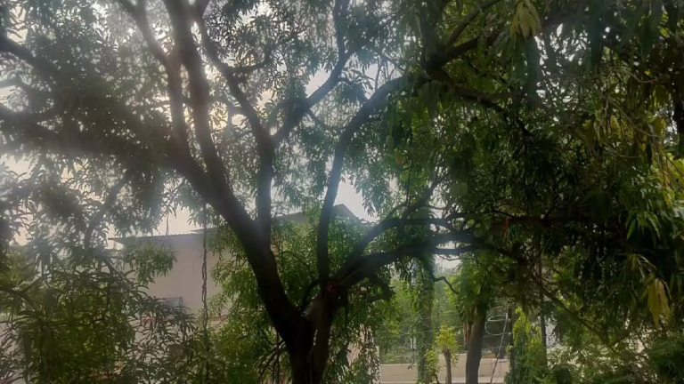 CG : आंधी-तूफान के साथ साथ रायपुर में बारिश शुरू …