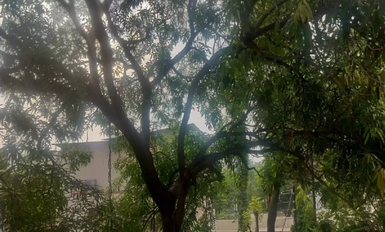 CG : आंधी-तूफान के साथ साथ रायपुर में बारिश शुरू …