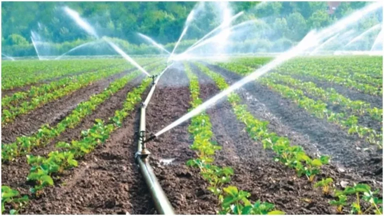 Drip Sprinkler System