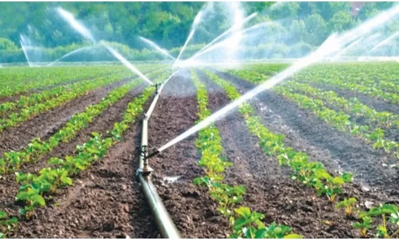 Drip Sprinkler System