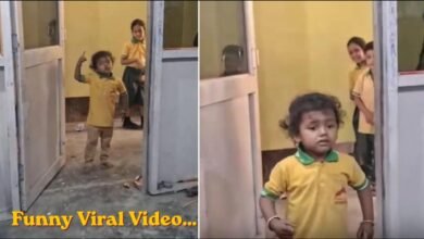 Funny Viral Video