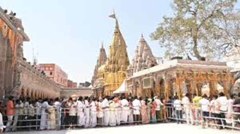 Kashi_0000.jpg