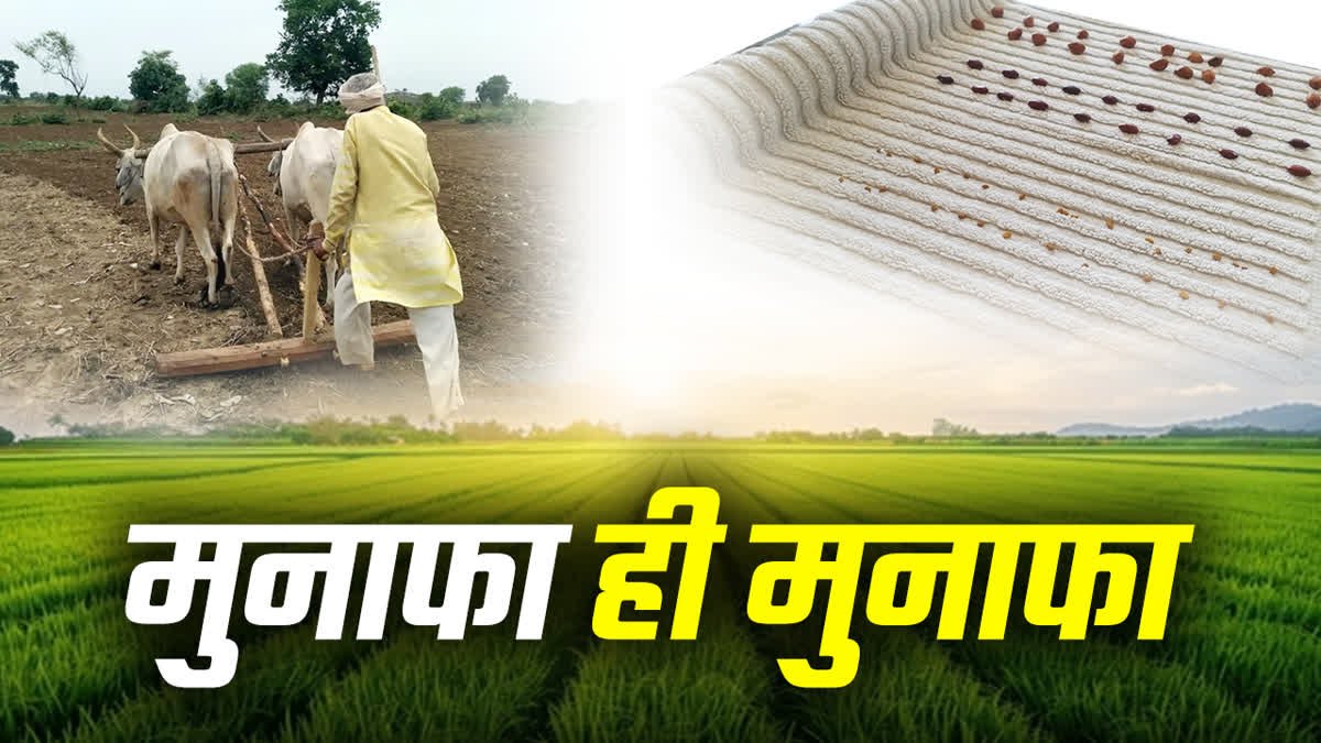Kisan News