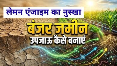 Kisan News