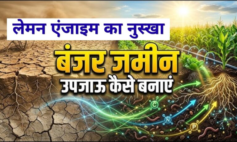 Kisan News