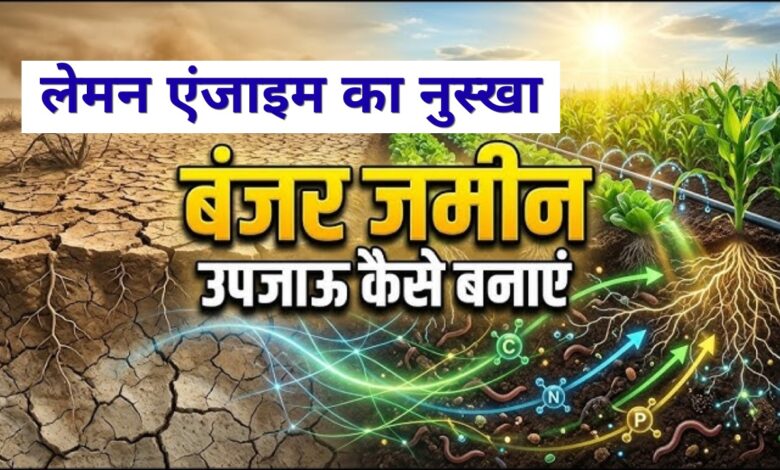 Kisan News