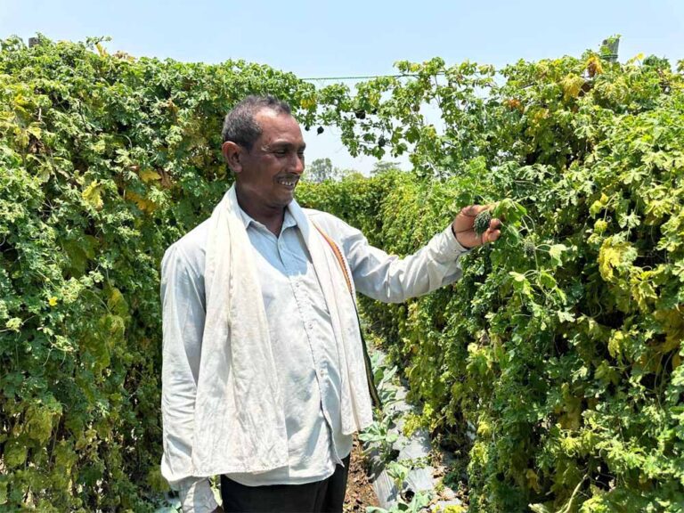 Kisan_01-1.jpg