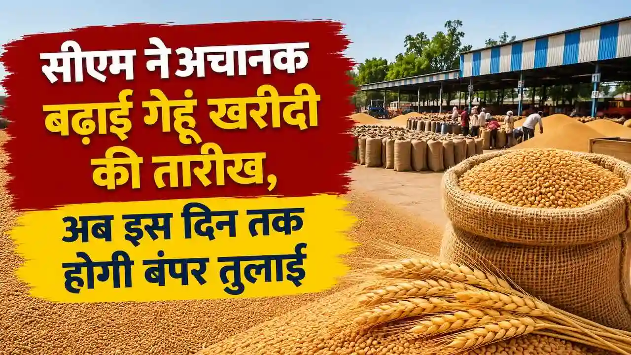 MP MSP News
