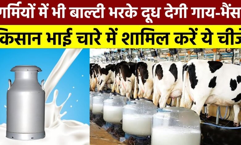 Milk Production