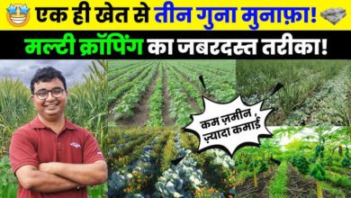 Multi-Cropping