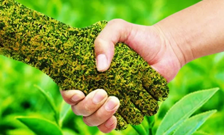 Organic Fertilizer