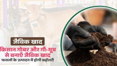 Organic Khad Process