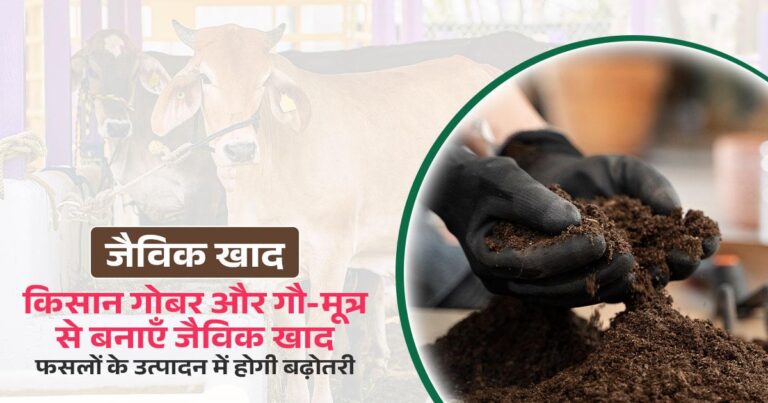 Organic Khad Process