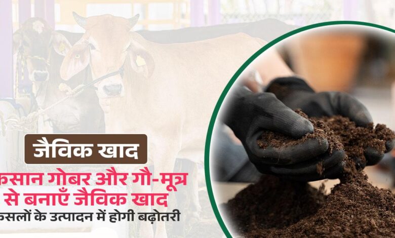 Organic Khad Process