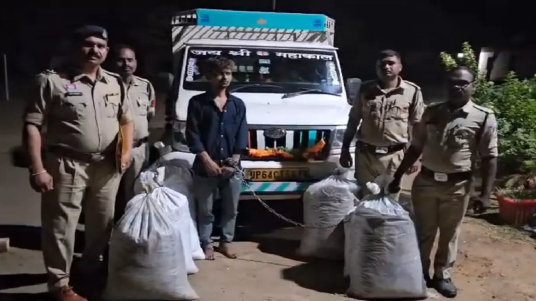 CG : सब्जी कैरेट से फिर गांजा तस्करी की कोशिश, गरियाबंद पुलिस ने फेरा पानी …