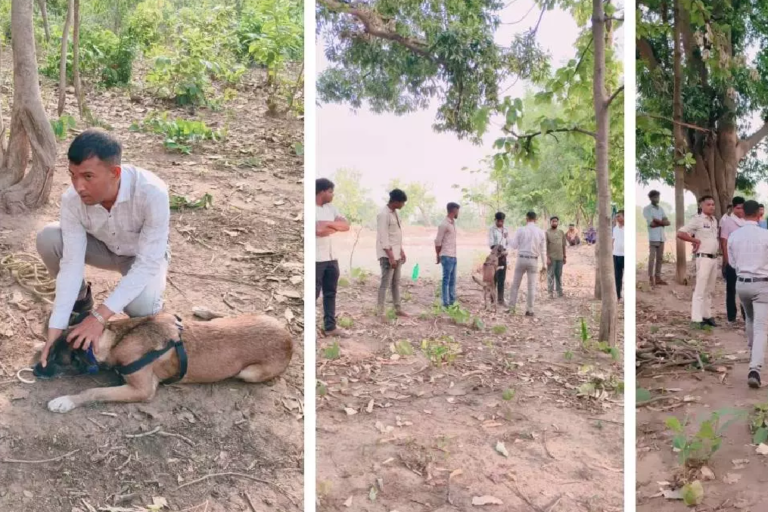 CG : डॉग रूबी ने कुछ घंटो में युवक की हत्या को सुलझाया …